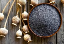 Мак харчовий Мак харчовий